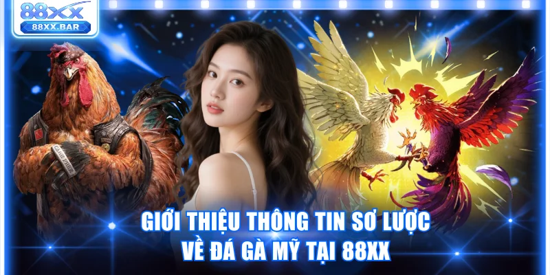 Giới thiệu thông tin sơ lược về đá gà Mỹ tại 88XX