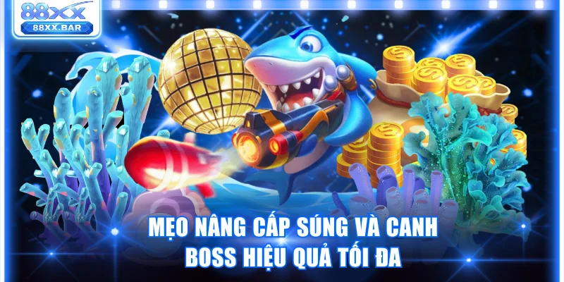 Mẹo nâng cấp súng và canh boss hiệu quả tối đa